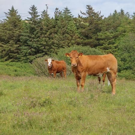 Dooneen Skibbereen Exteriör bild