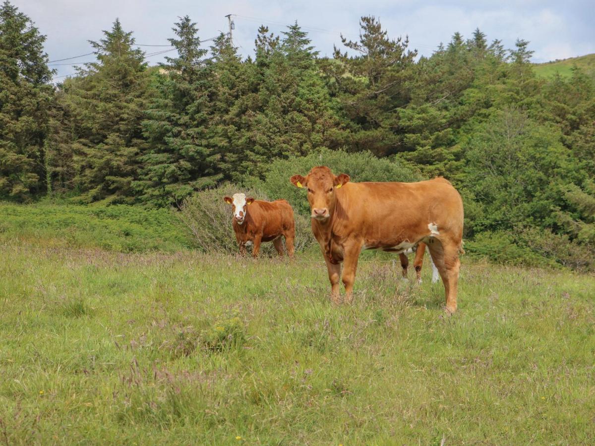 Dooneen Skibbereen Exteriör bild